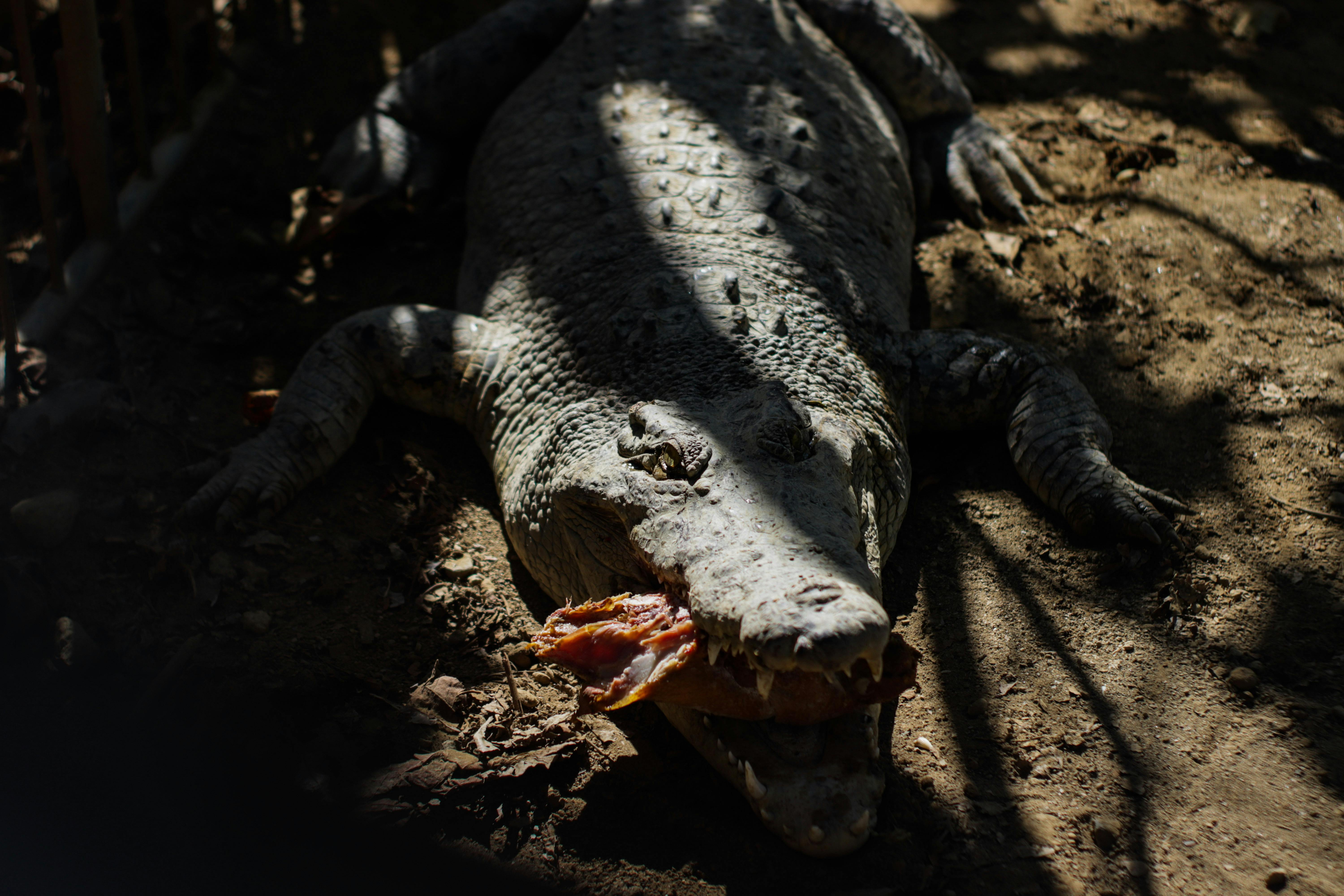 Secret Diet Hacks from the Ancient World