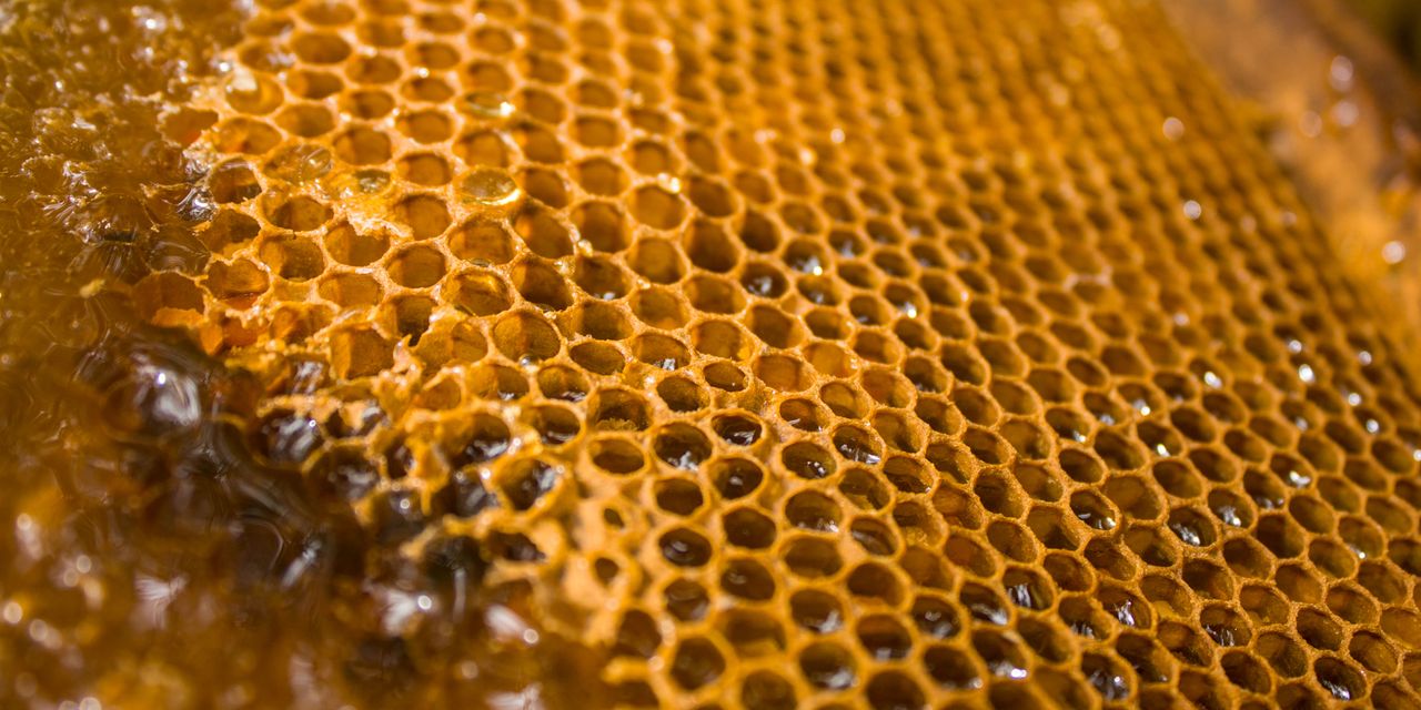 Detailed close-up of a honeycomb filled with honey, showcasing the intricate hexagonal pattern.