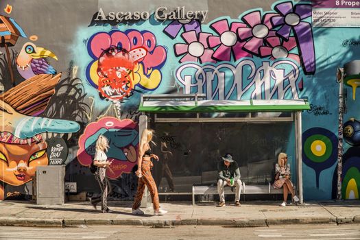 Wynwood street art walk — Miami