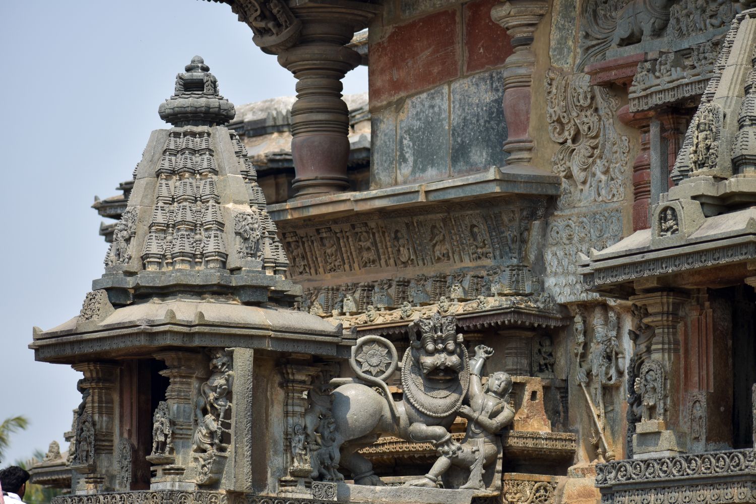 Beluru Photos, Download The BEST Free Beluru Stock Photos & HD Images