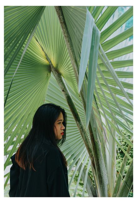 Woman in Front of Green Leafed Tree