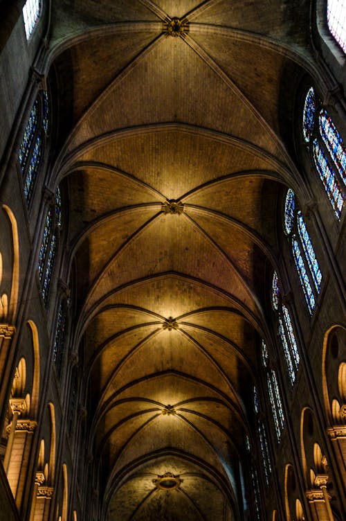 Free Notre Dame ceiling Stock Photo