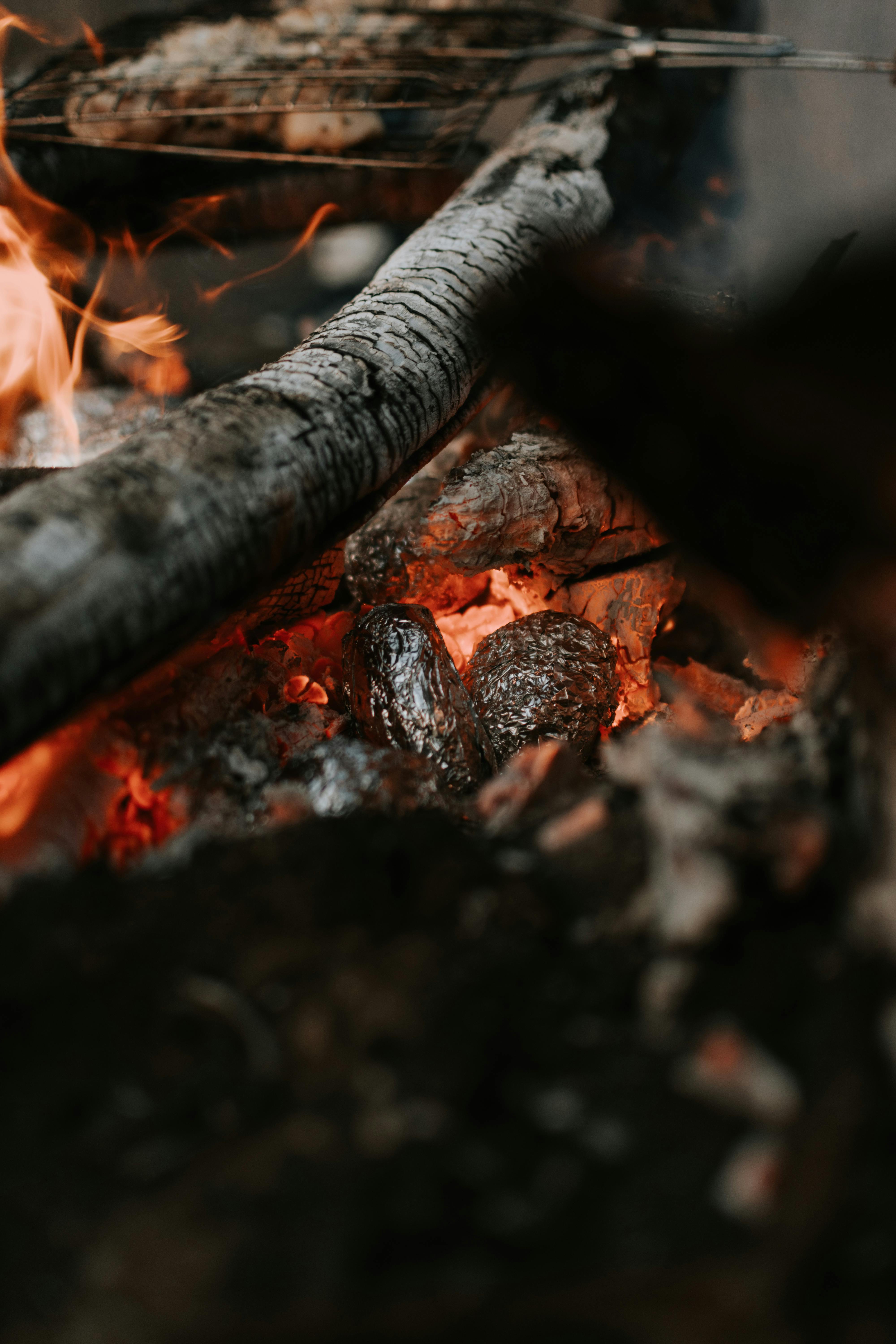 closeup of potatoes in a campfire ash