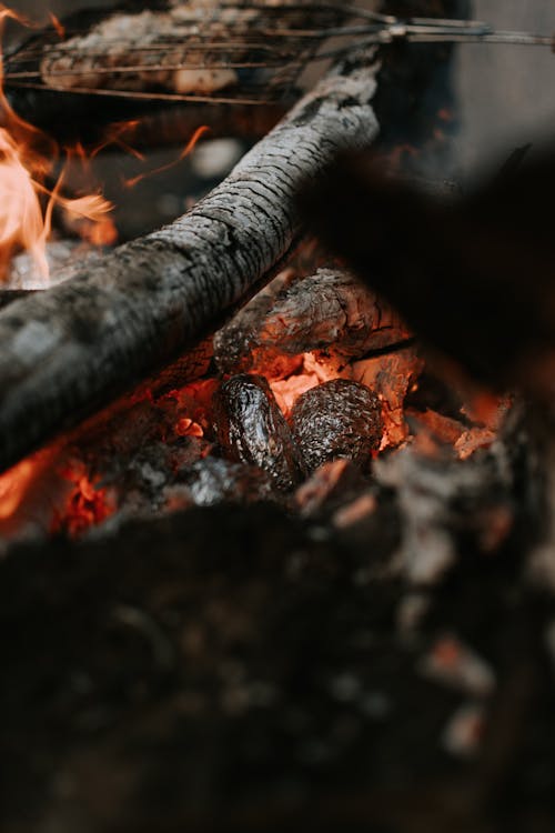 Foto stok gratis alat barbecue, api, api unggun