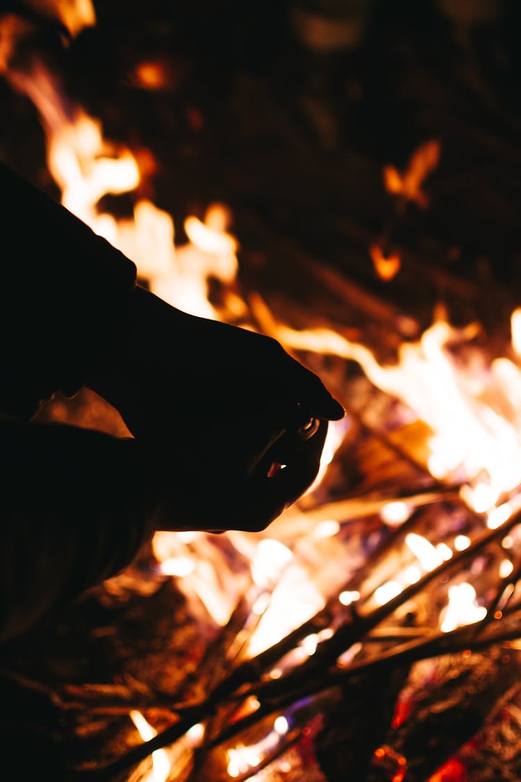 Close-up Of Person Warming Hands At Campfire