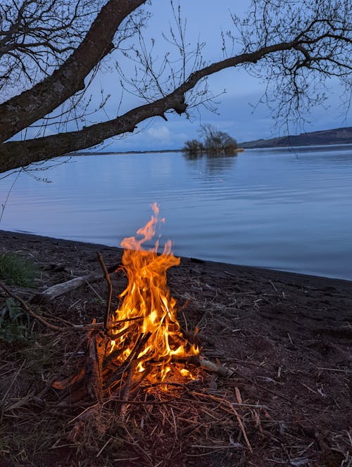 Kostnadsfri bild av öppen spis, Storbritannien, strand bakgrund