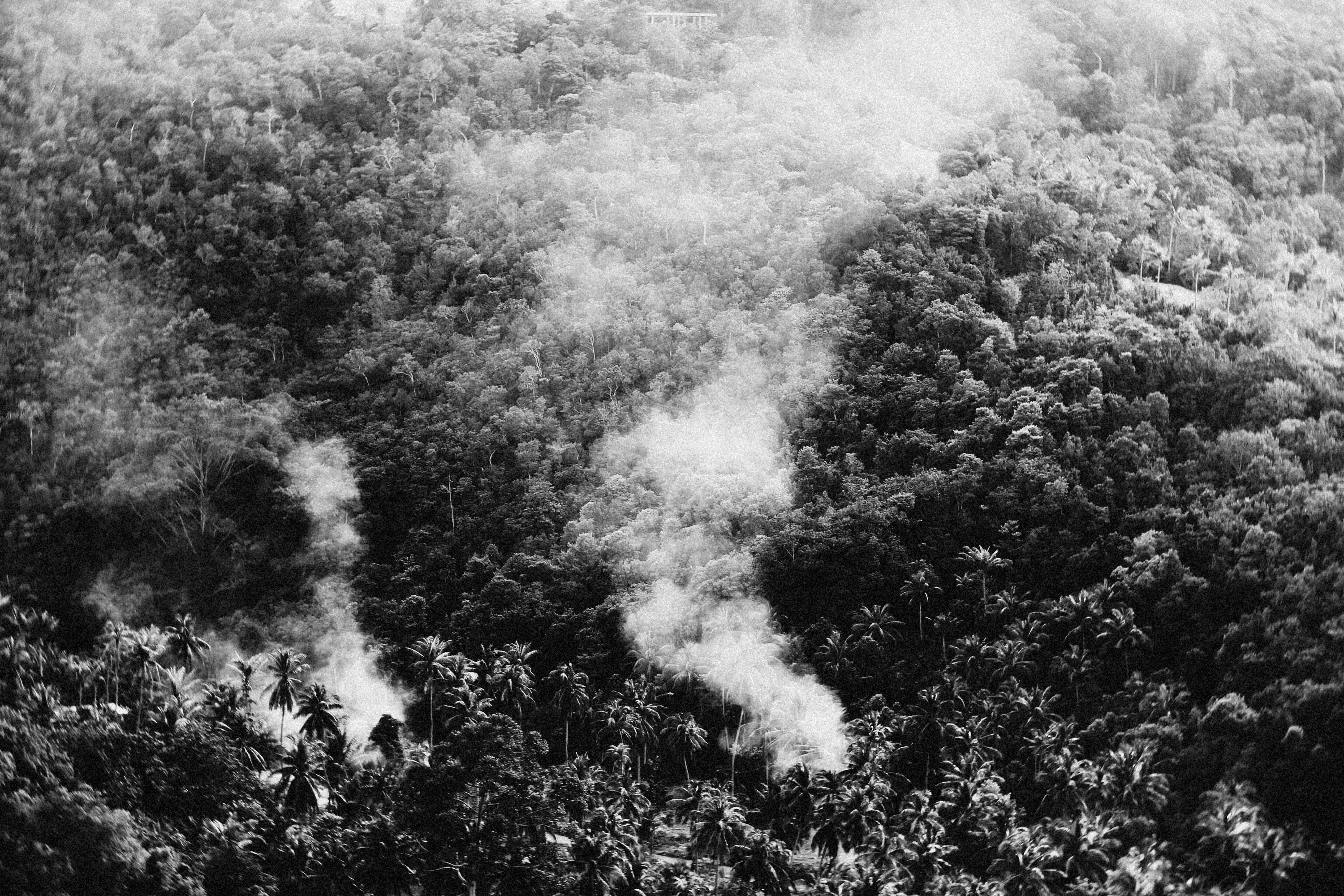 aerial view showing the contrast between the lush jungle of Sri Lanka on one side and a turquoise atoll of the Maldives on the other
