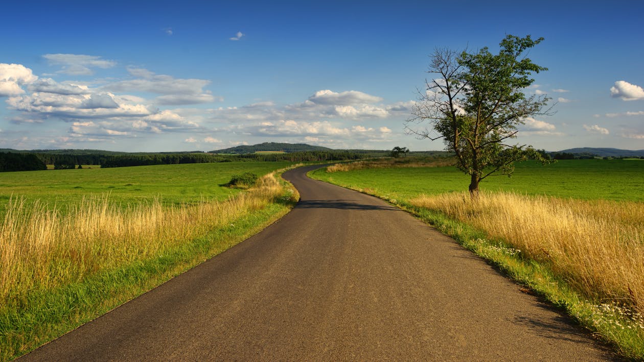 Фотография дороги посреди травяного поля