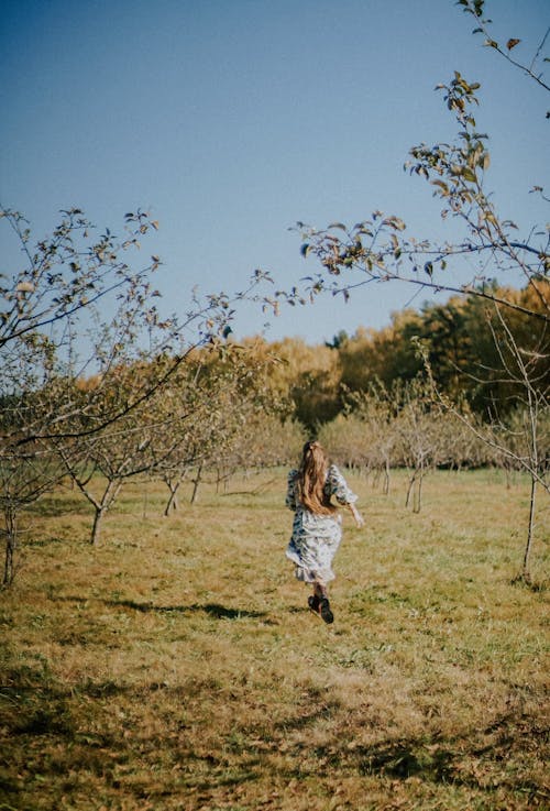 Immagine gratuita di campagna, campo d'erba, corsa