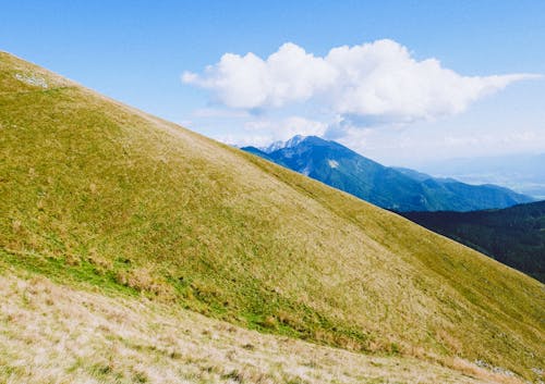 天性, 山, 山坡 的 免费素材图片