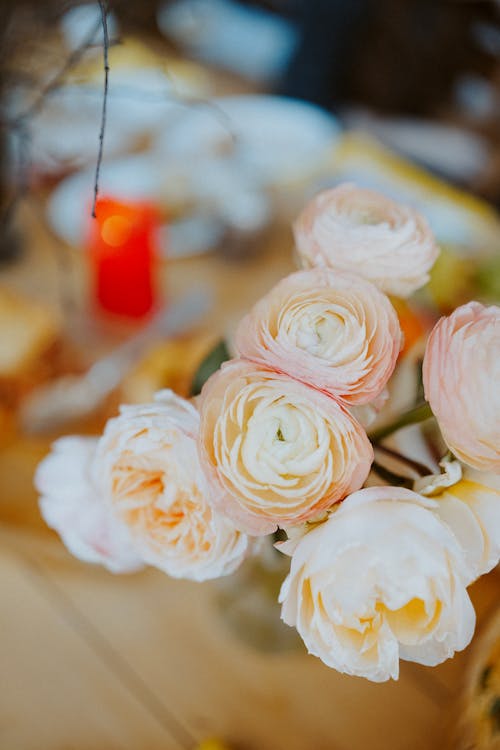 垂直拍摄, 浅粉色玫瑰, 玫瑰 的 免费素材图片