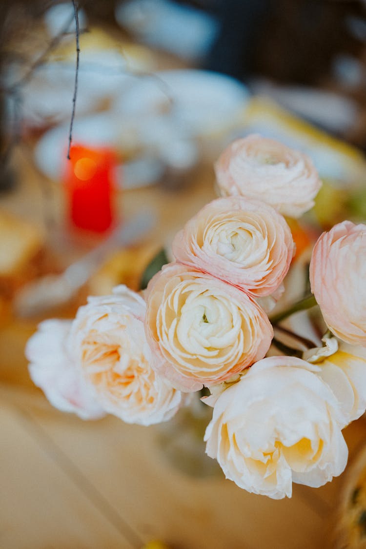 White And Light Pink Roses