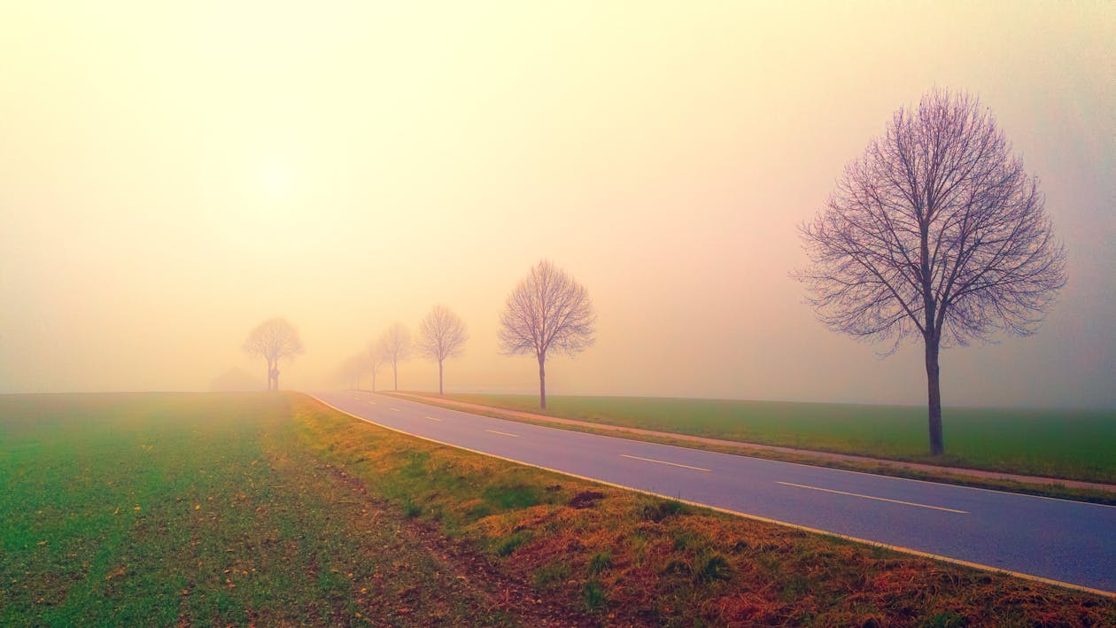 免费 在有雾的田野中路的照片 素材图片