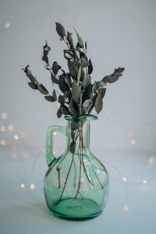 Leaves on Twigs in Vase