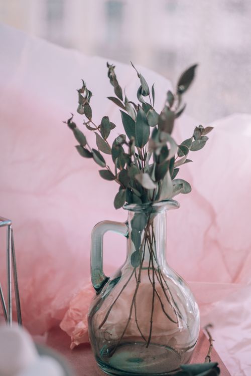 Free A decorative glass jug filled with eucalyptus leaves set against a soft pink background, embodying gentle elegance. Stock Photo