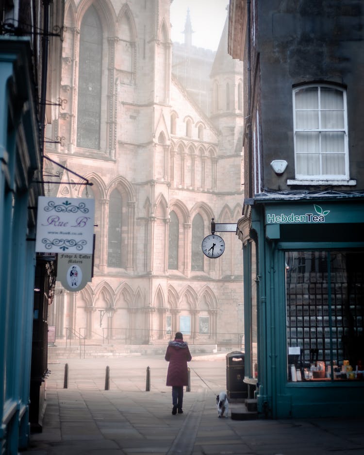 Woman Walking Dog In Old Town