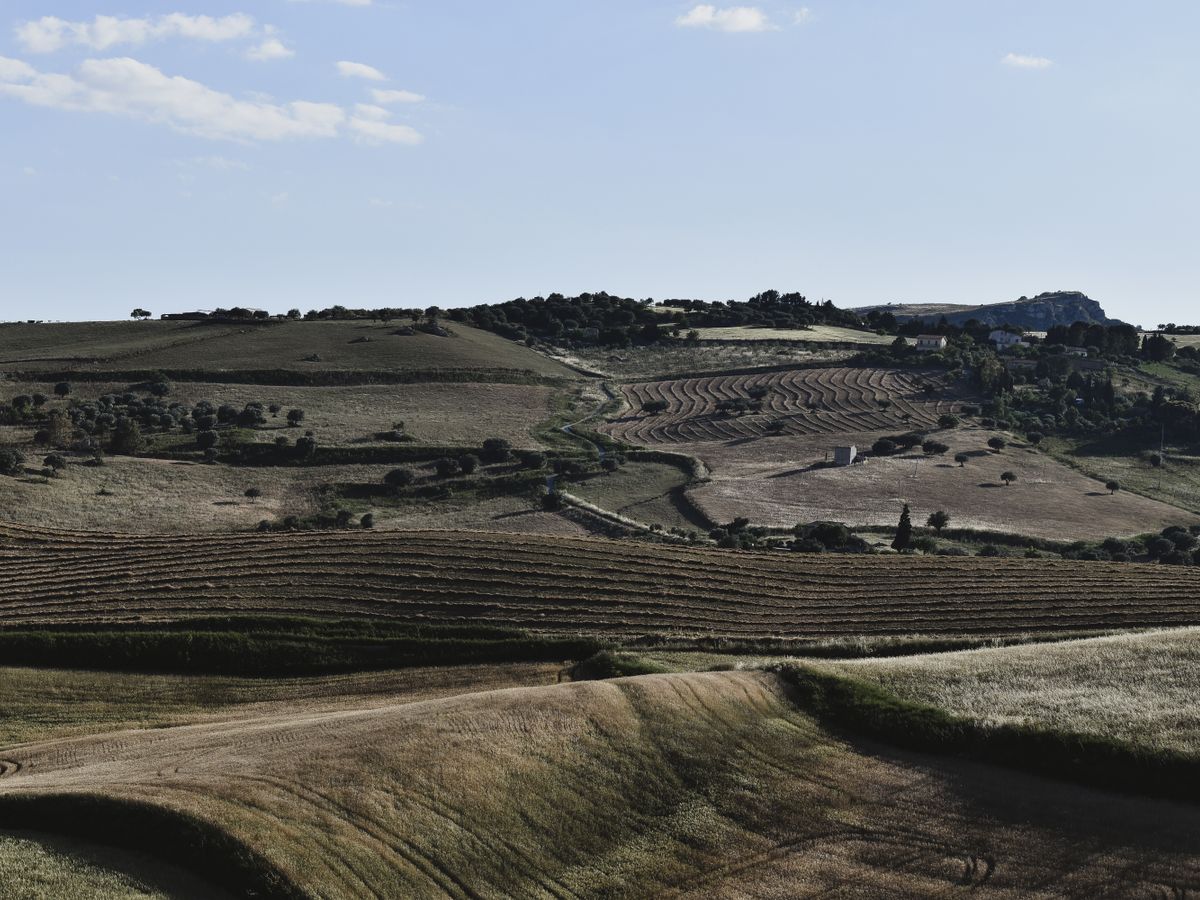 14 Day Intensive 200Hr Yoga Teacher Training in Tuscany, Italy 2