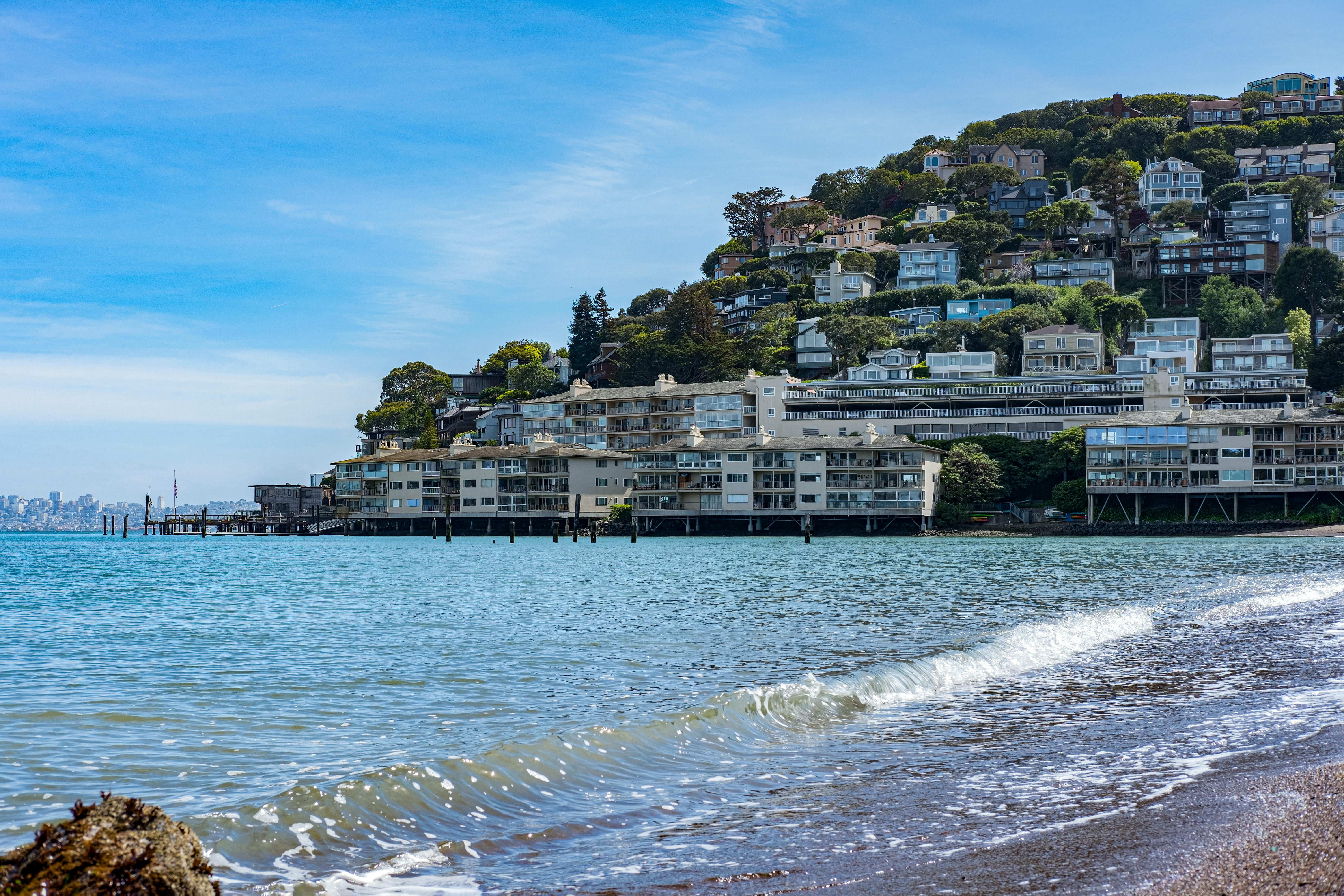 Explore Hot Spots and Holiday Cheer with Tacky Light Tours in San Diego Country Estates, California