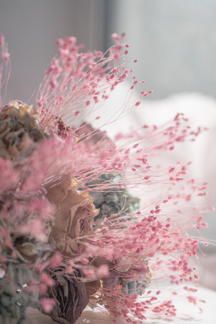 Pink Flowers And Wilted Roses