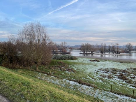 Tranquil winter scene with bare trees and frosty grass by a serene lake.