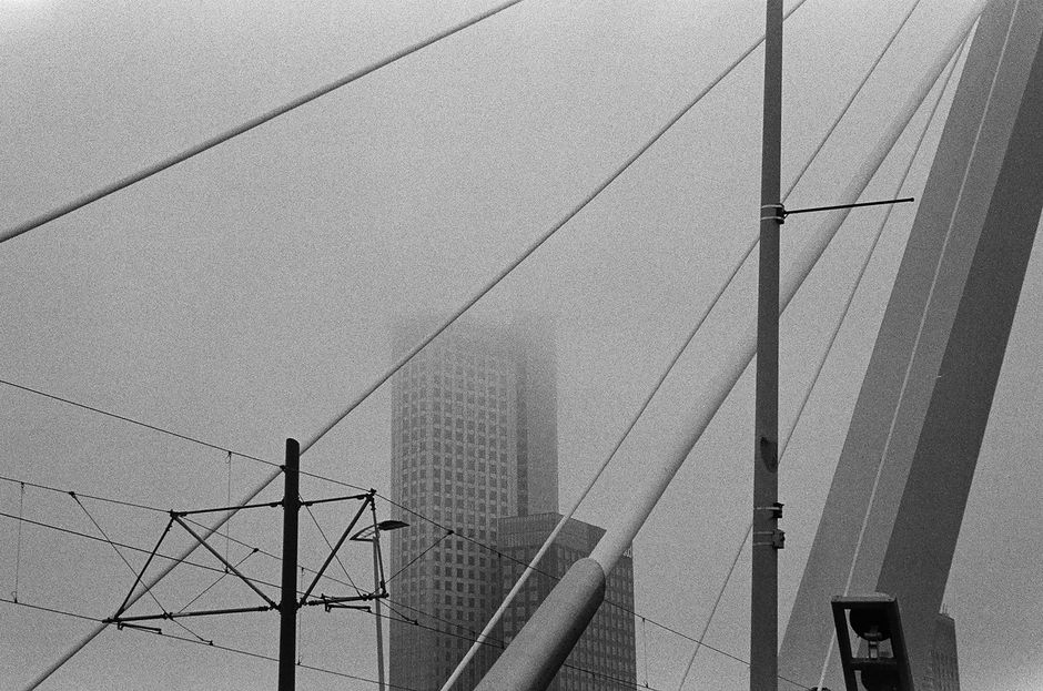 Atmospheric view of Rotterdam's misty skyline featuring the Erasmus Bridge.