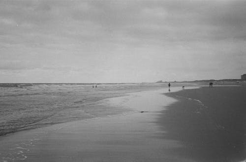 Foto d'estoc gratuïta de acomiadar-se, blanc i negre, cel