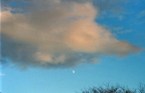 Immagine gratuita di cielo azzurro, cloud, fotografia con le nuvole