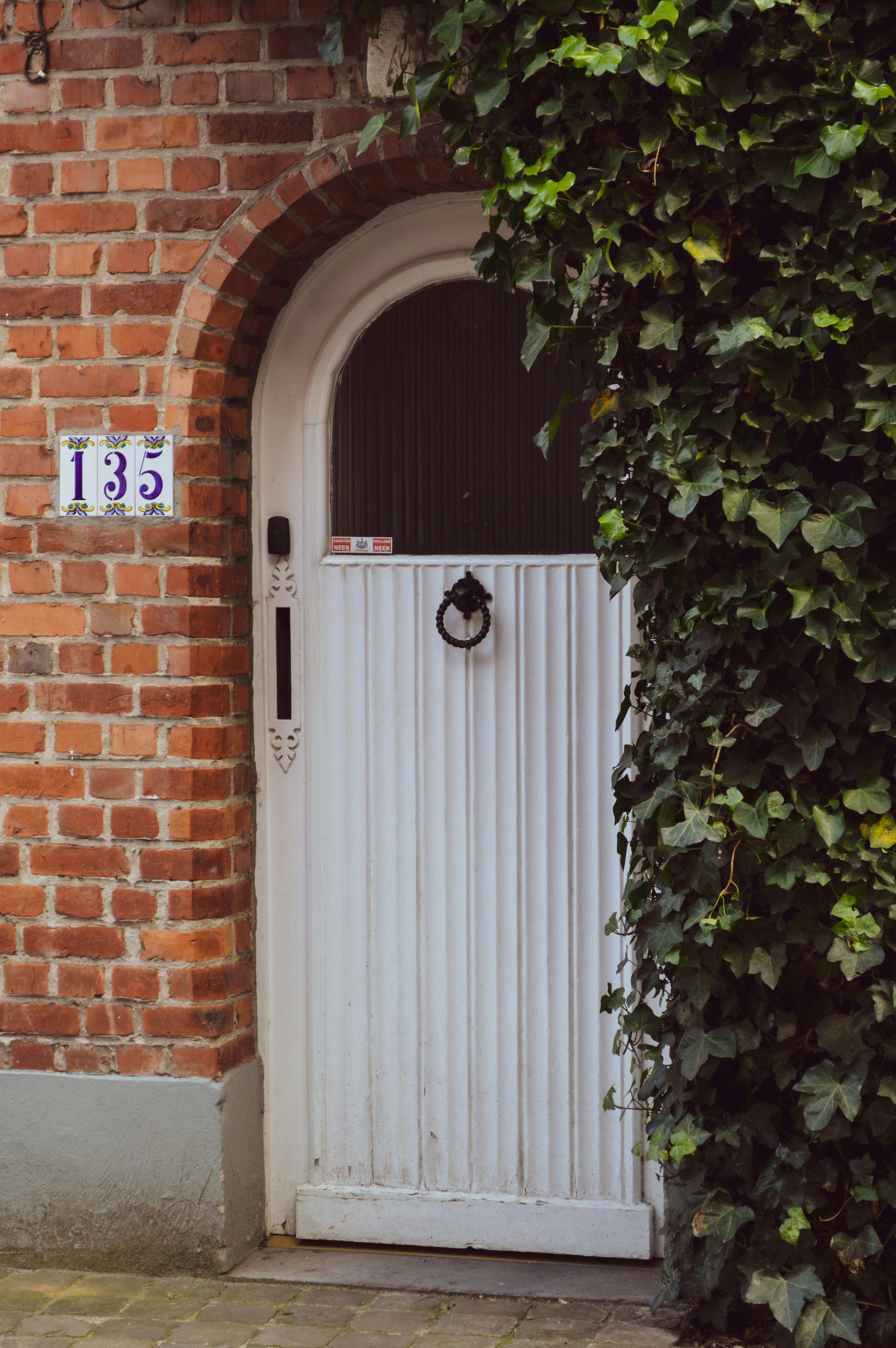 A picturesque arched brick doorway with lush ivy and a distinctive door knocker.
