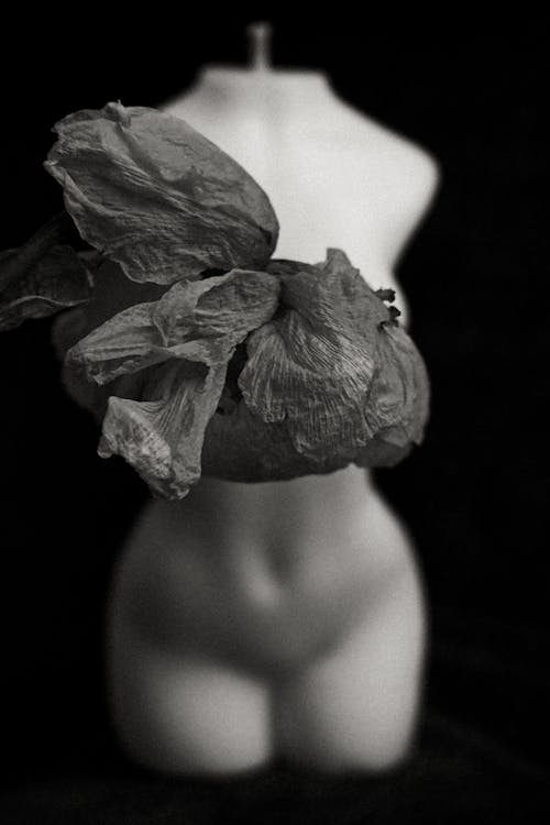 Free Grayscale Photo of Flower Petals on a Mannequin Stock Photo