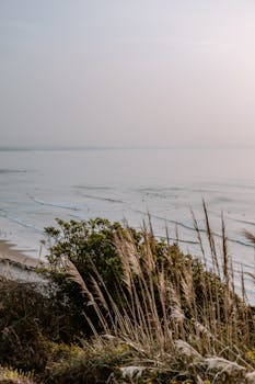 Peaceful view of Biarritz coastline with gentle waves and quiet shore at dusk. by Mathilde Langevin