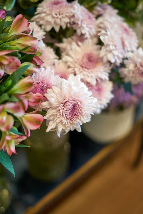 Free Flowers on Vases Stock Photo