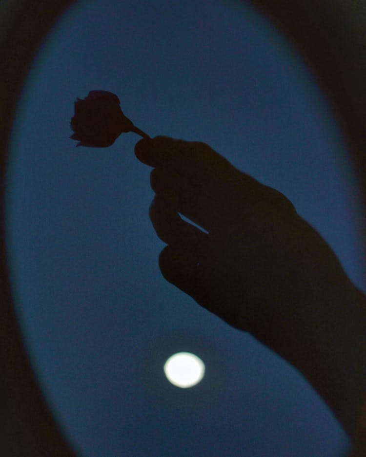 Outline Of Hand Holding Flower At Night