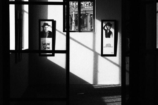 A minimalist black and white indoor art display with striking shadows.