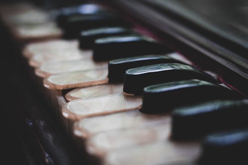 Free stock photo of music, piano keys, product