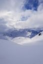 Fresh snow powder
