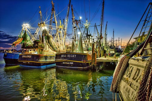 Foto stok gratis dermaga, industri perikanan, kapal nelayan