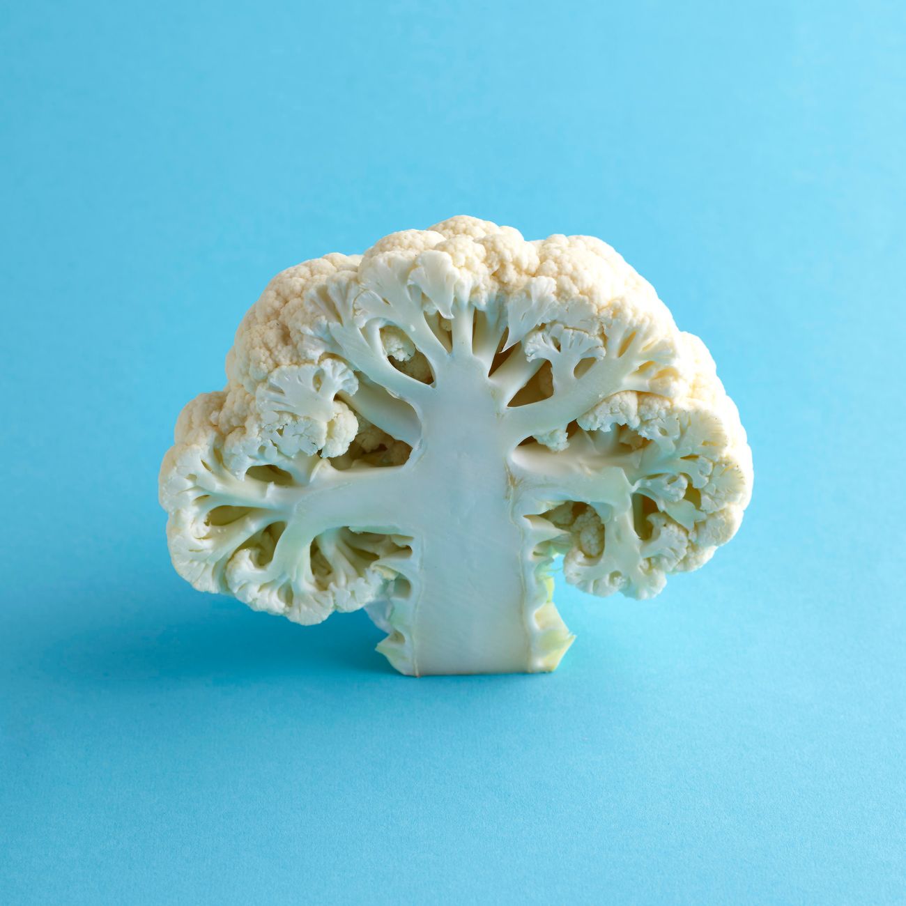 broccoli cauliflower plant side shoots