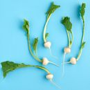 ScallionsGreen Vegetables on Blue Background