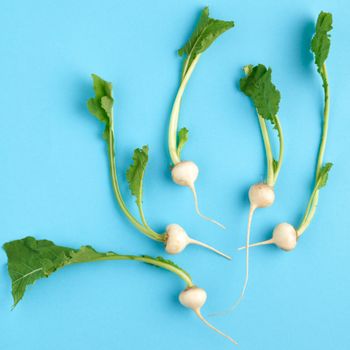 Turnip