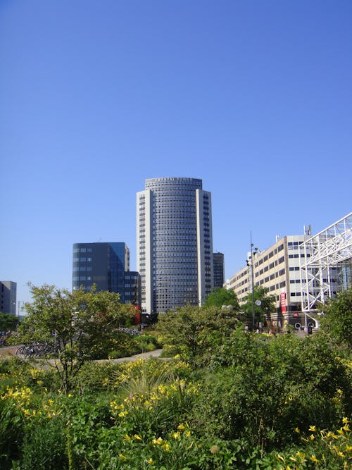 Gratis stockfoto met Amsterdam, blauwe lucht, gebouwen