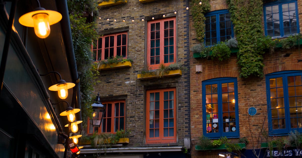 Neals Yard London Vibrant Courtyard Colorful Buildings Murals Plants Urban Oasis