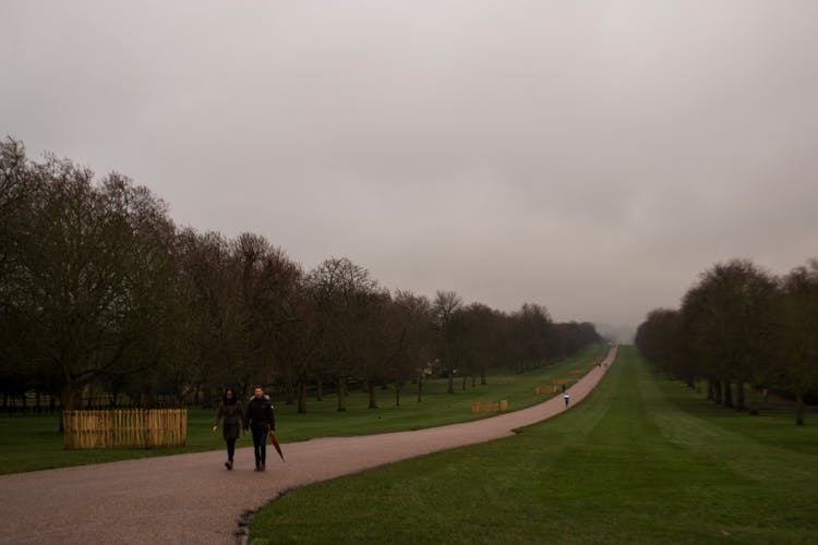 People Walking In Alley At Park