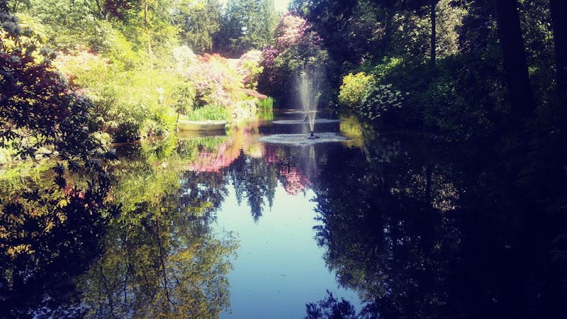 Historical Reconstruction 1