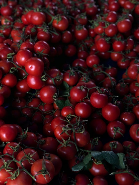 Základová fotografie zdarma na téma čerstvý, červená, cherry rajčata