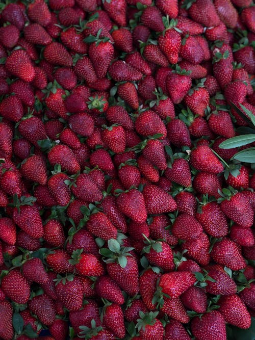 Red Strawberries in Close Up Photography