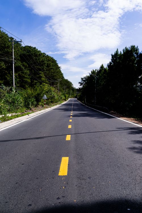 Free A serene view of an empty road surrounded by trees under a partly cloudy sky. Stock Photo