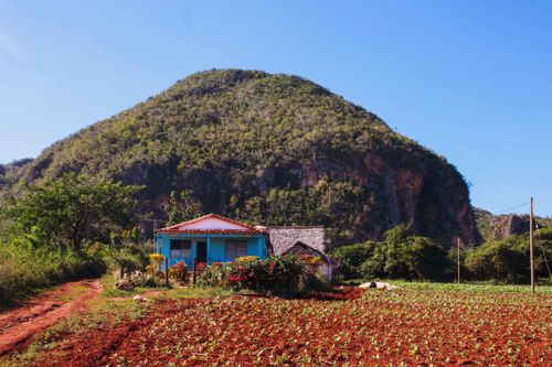 Free Charming rural farmhouse nestled among lush hills and thriving cropland under a clear blue sky. Stock Photo