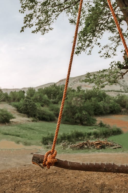 Foto d'estoc gratuïta de balancejar, camp d'herba, corda