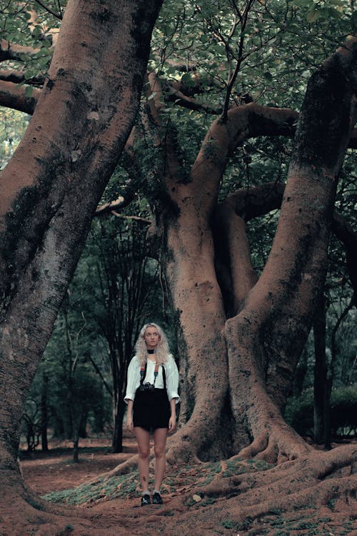 Free A Woman in White Long Sleeve Shirt and Black Skirt Standing Beside a Brown Tree Stock Photo