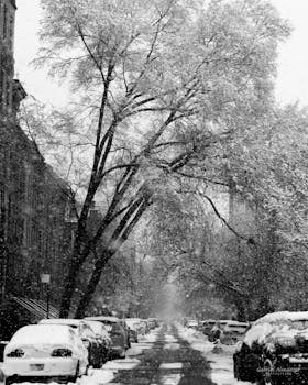 Grayscale photo of a snow-covered urban street lined with parked cars and trees.